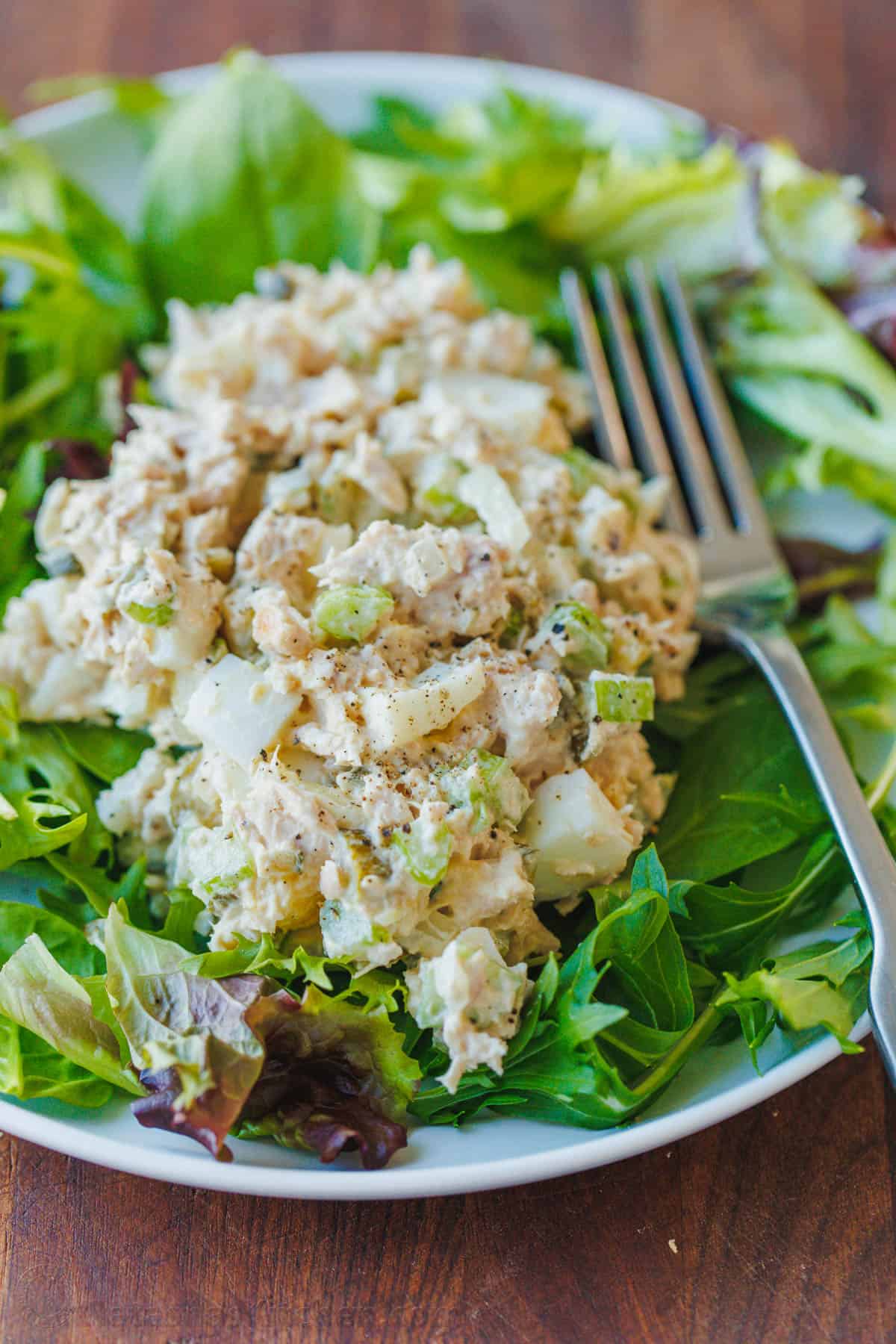 Classic tuna salad served over a bed of greens on a white plate, with a fork.